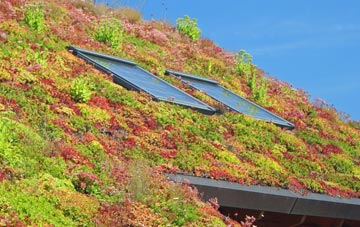 Durrington On Sea Sta living roof systems